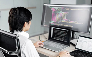 舞钢 api php源码,下载的php源码怎么运行呢？